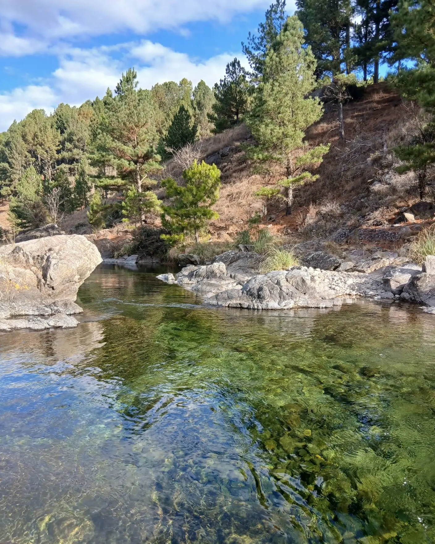 Aguas cristalinas del río El Durazno entre rocas y pinos