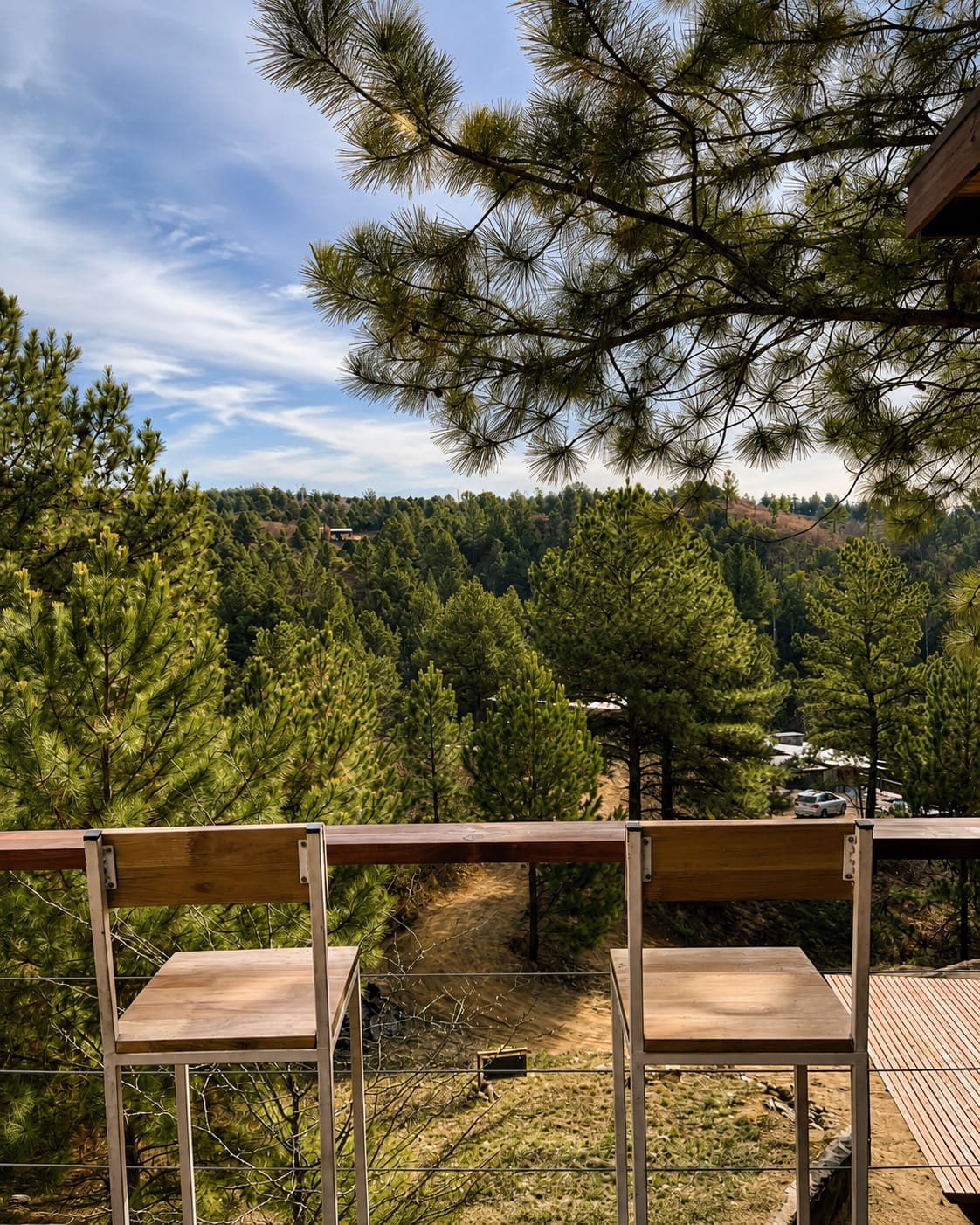 Vista al bosque de pinos desde el deck